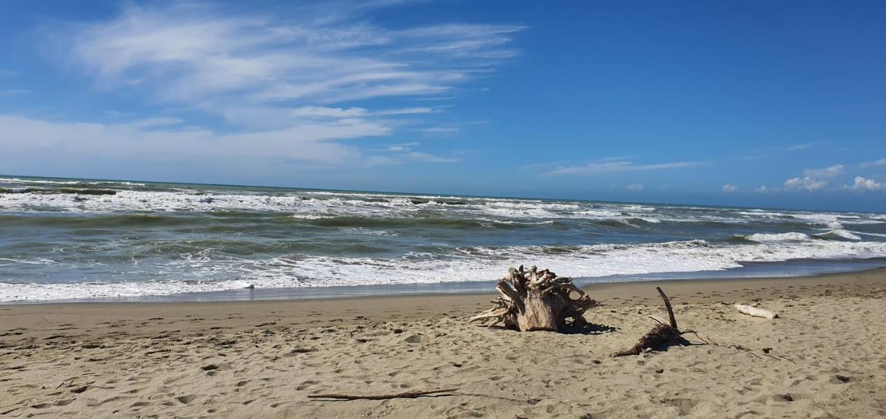 Domusauroom, Relax Nel Cuore Della Versilia - Pet Friendly Βιαρέτζιο Εξωτερικό φωτογραφία