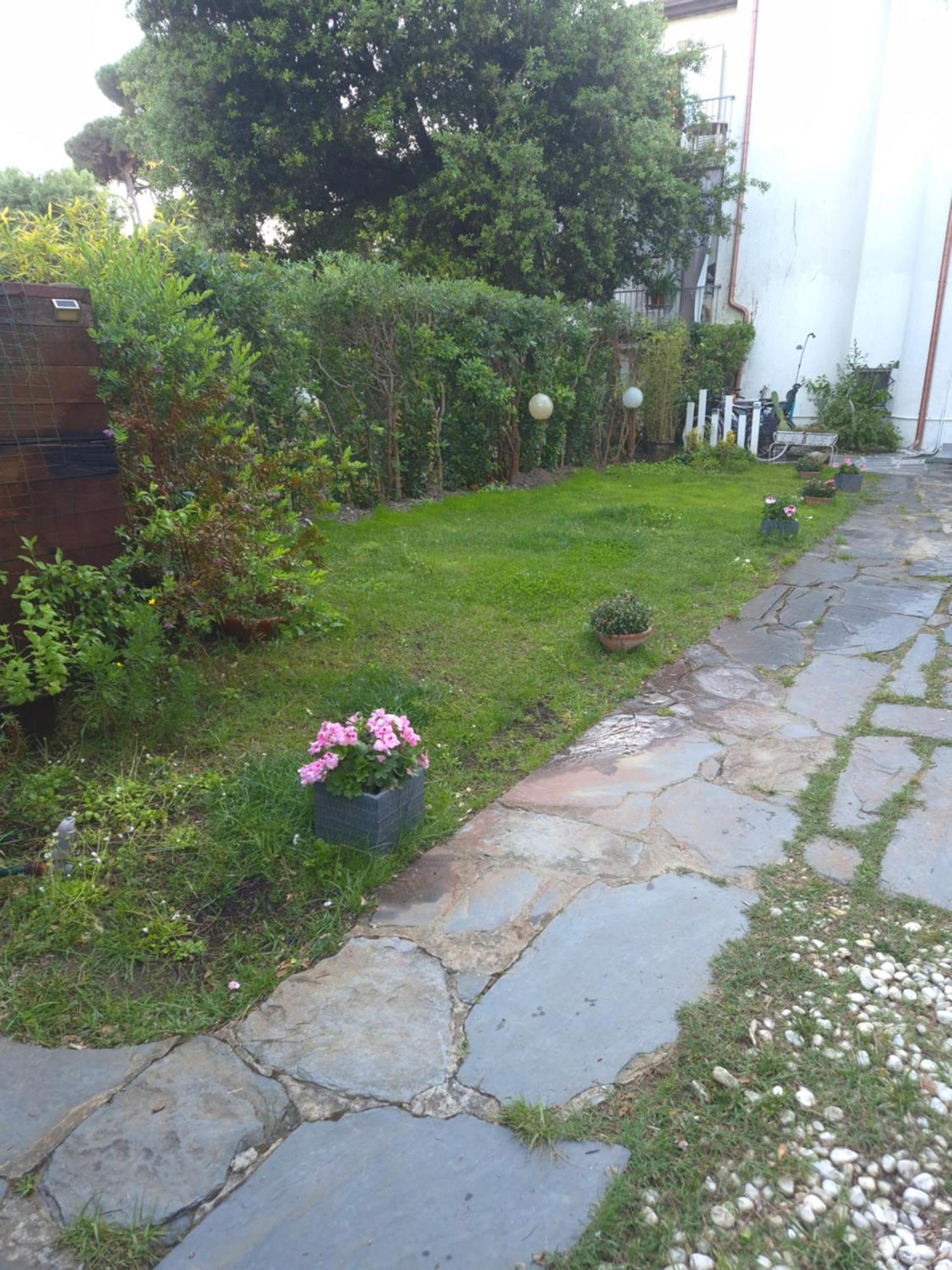 Domusauroom, Relax Nel Cuore Della Versilia - Pet Friendly Βιαρέτζιο Εξωτερικό φωτογραφία