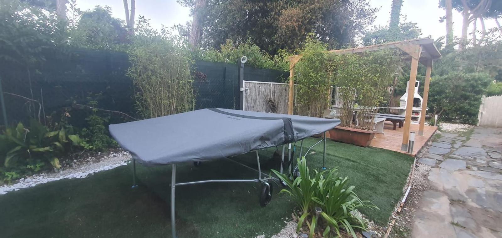 Domusauroom, Relax Nel Cuore Della Versilia - Pet Friendly Βιαρέτζιο Εξωτερικό φωτογραφία