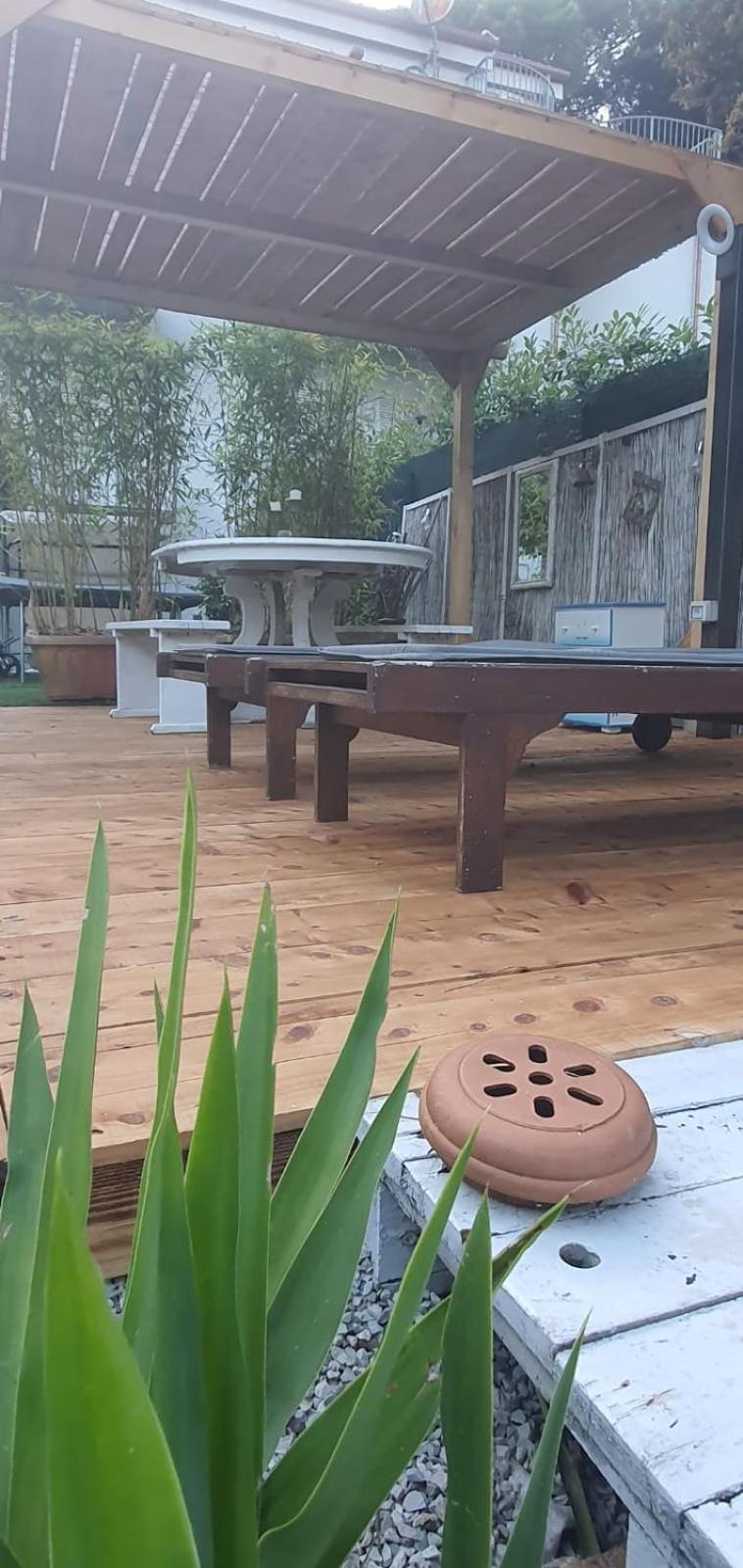 Domusauroom, Relax Nel Cuore Della Versilia - Pet Friendly Βιαρέτζιο Εξωτερικό φωτογραφία